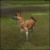 Hyena-sims